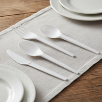 Kit de Couverts Emballés pour Usage en Restaurant, CPLA, Jetables, Biodégradables, Sans BPA, Couteau, Fourchette, Cuillère, Cuillère-fourchette, Compostables, Kits à Emporter
