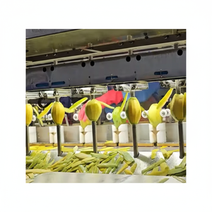 Mangue séchée douce du Vietnam de haute qualité fournissant des collations tropicales en vrac pour les marques de collations internationales et les importateurs de produits alimentaires - Product Image 1