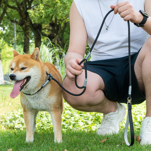 Guinzaglio Universale Retrattile per Cani Stile P Anti-Fuga Anti-Soffocamento in <span class=keywords><strong>Tessuto</strong></span> Modello 212 – Strumento Essenziale per Passeggiate con il Cane - Product Image 4