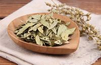 Poudre d'extrait de feuille de séné de qualité alimentaire, extrait végétal, Sennosides A+B 20% 40%, poudre de feuille de séné