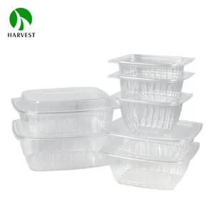 Tek kullanımlık plastik kare sıcak satış hazır yemek kutusu paket servisi olan restoran için - Product Image 1