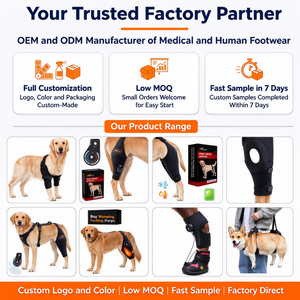 Attelle orthopédique pour genou de chien, protège-jambe arrière avec stabilisateur à charnière réglable, boucle rapide, néoprène, pour déchirure du ligament croisé avant, entorse - Product Image 6