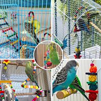 Ensemble de 15 jouets en bois pour perroquets, accessoires pour oiseaux de cage, balançoire, pont suspendu, balle, cloche, fournitures pour animaux de compagnie