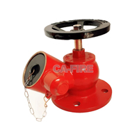 Vanne d'incendie à corps en fonte ductile et poignée en laiton, 2 pouces, accessoire pour hydrant d'incendie
