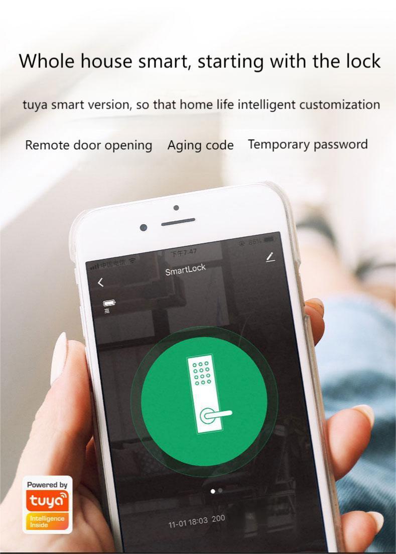 Tuya Cat's Eye Smart WiFi Door Lock Steel Brass Aluminum Handle Security Magnetic Key Card Fingerprint Access for Wood Doors · image 5