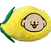 Peluches personnalisées : Créez votre propre marque de peluches pour enfants, jouets en peluche, oreillers personnalisés, cadeau d'anniversaire