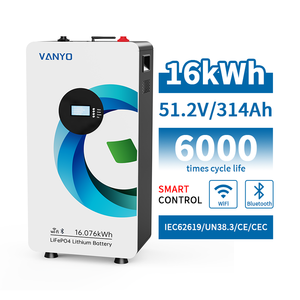 Batterie solaire au lithium LiFePO4 51,2 V 48 V 314 Ah, pack de batteries 15 kWh 16 kWh LiFePO4, batterie de stockage d'énergie domestique - Product Image 1