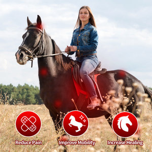 Soins aux chevaux Animaux Arthrite Soulagement de la douleur Personnalisable Horse Therapy Blanket - Product Image 5