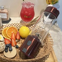 Mixeur Portable en Verre pour Fruits, Tasse à Jus Électrique Domestique, Mini-Mixeur de Voyage Rechargeable de Luxe 450ml