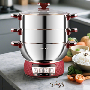 Cuisinière <span class=keywords><strong>électrique</strong></span> multifonctionnelle Haley 36 cm 2100 W avec panier <span class=keywords><strong>vapeur</strong></span> à grand diamètre, double cage en acier inoxydable haute pression - Product Image 3