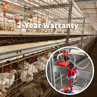 Système de cages à poulets automatiques de type H moderne pour les fermes avicoles commerciales sur le marché d'Asie du Sud-Est