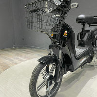 Bicicletas eléctricas de 2 ruedas de bajo precio, bicicletas de neumáticos anchos, ciclomotor eléctrico de 750 W, bicicletas ple