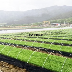 FRP Fibre Glass Pole Arch Greenhouse Fiberglass <b>Rod</b> - Product Image 6