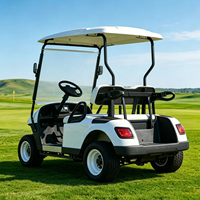 Voiturette de golf électrique 1-2 places 48V 100A 150A 200A avec batterie au lithium, sûre et stable, idéale pour les terrains de golf et les villas
