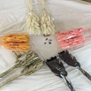 Herbe <span class=keywords><strong>de</strong></span> la Pampa, Herbe à Queue <span class=keywords><strong>de</strong></span> Lapin, Phalaris, Fleurs Séchées et Gemmes Véritables pour Décoration <span class=keywords><strong>de</strong></span> Mariage, Maison, Remise <span class=keywords><strong>de</strong></span> Diplôme, Festival et Confection <span class=keywords><strong>de</strong></span> Bouquets - Product Image 2