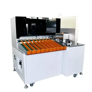 EV Battery Production Machine Cylinder Cell Automatic Sorting Machine System