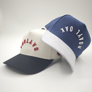 Casquettes de baseball unisexes classiques à deux tons, 5 panneaux, en coton Oxford Dobby de haute qualité, avec logo brodé 3D personnalisé - Product Image 1
