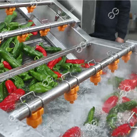 De Nieuwe Automatische Fruit-En Groenteproductielijn Omvat Het Blancheren Van Droogverpakking Voor Versnipperde Groenten En Fruit