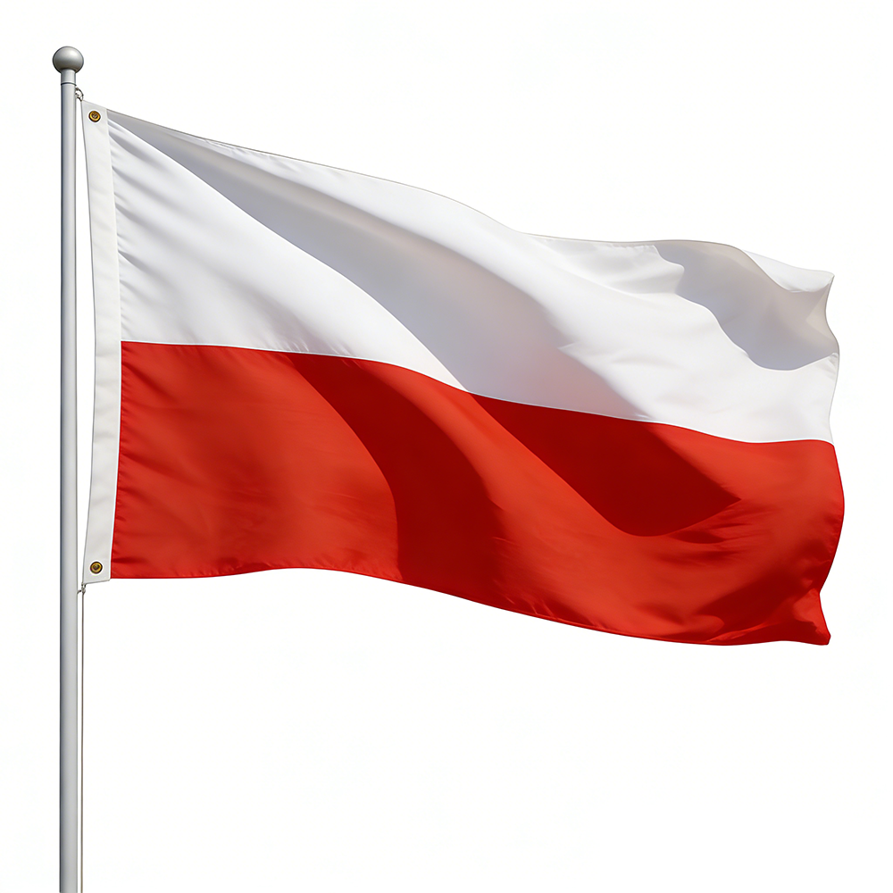 CUSTOM 9