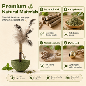 Jouet interactif pour chat avec plumes, bâtonnet naturel à gratter avec clochette, jouet d'intérieur pour chatons curieux - Product Image 3