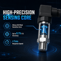 CIPPUS OEM/ODM Instruments de mesure de pression de précision SS304 IP65 4-20mA 0-5V Capteur de pression/Transducteur de pression