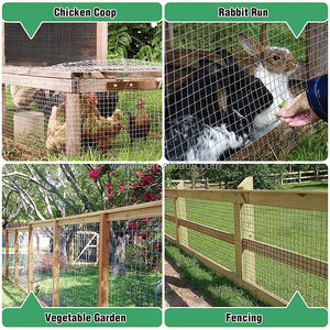 3mm 10 16 calibre PVC recubierto de <span class=keywords><strong>malla</strong></span> de alambre soldado <span class=keywords><strong>precio</strong></span> galvanizado <span class=keywords><strong>malla</strong></span> <span class=keywords><strong>electrosoldada</strong></span> - Product Image 4