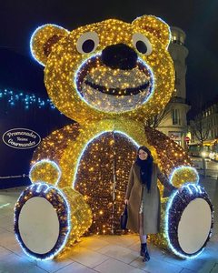 Éclairage extérieur lumineux 3D en forme d'ours, style influenceur, pour décoration de centre commercial, éclairage de festival et éclairage en forme d'animal (effet carte perforée) - Product Image 1
