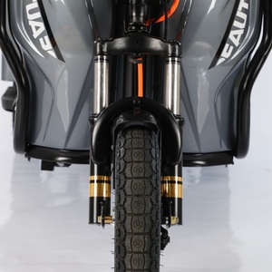 Tricycle à 3 roues, moto électrique, scooter à longue autonomie avec batterie au plomb-acide - Product Image 6