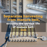 RETECH Cage agricole moderne automatique à 4 niveaux pour poulets de chair Équipement agricole pour poulets de chair avec alimentation des poulets de chair et équipement de sol