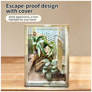 Terrario Trasparente per Allevamento Rettili con Ventole di Ventilazione per <span class=keywords><strong>Geco</strong></span> <span class=keywords><strong>Leopardino</strong></span> Crestato, Rana da Albero e Piccoli Animali Domestici - Facile Osservazione - Product Image 2