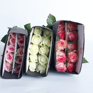 Arreglos Florales con Cabezas de Flores Grandes Blancas con Borde Rosa, Flores Frescas Cortadas para Decoración de Bodas - Product Image 2