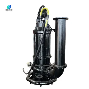 Hichwan Qw 20 Pk Sumergible De La Bombas Bomba De Agua Sumergible Electrica