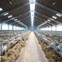 Structure en acier préfabriquée pour étable à vaches laitières, grange à moutons, ferme, structure en acier préfabriquée pour ferme