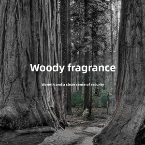 <span class=keywords><strong>Perfume</strong></span> Unisex No. 9, 100 ml, Aroma Ligero y Duradero, Notas Amaderadas, Eau de Parfum, Hecho en Zhejiang - Product Image 4