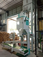 Machine d'ensachage manuelle Ewinall DCS-100FA1 50-100kg avec re-inspection dynamique et couture pour l'emballage papier des usines alimentaires et agroalimentaires