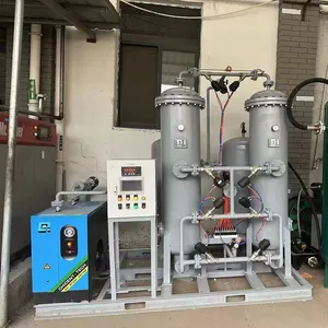 Professionelles Design Produktionsanlage Sauerstoff und Psa Sauerstoff-Gasgenerator Psa O2 Gasanlage