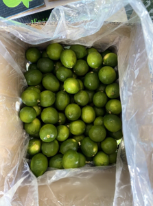 Limones Verdes Frescos Sin Semillas de Vietnam, Marca Tien Giang, Grado Uno, Tamaño 10 kg, Sra. Nicky (+84) 971 879 377 - Product Image 4