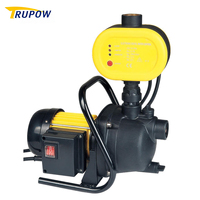 Pompe à eau auto-amorçante à pression contrôlée automatique de haute qualité pour l'irrigation des jardins, l'approvisionnement en eau des puits peu profonds et la réutilisation des eaux de pluie