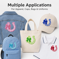 En stock – Écusson fer à cheval de 3,9 pouces, coloré, avec nœud papillon et sequins, étiquette brodée de fleurs de luxe pour vestes en jean – Vente en gros