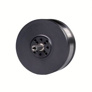 Moteur brushless robuste 5010 200KV, idéal pour les drones agricoles et les bateaux RC, efficacité de 90 %, résistant à la chaleur, longue durée de vie - Product Image 4