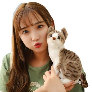 Nuovo Design simpatico peluche peluche a cinque colori Cat Peluches Cat Gato peluche - Product Image 3