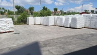 Granulés de polypropylène à fibres courtes raffinés PP haute résistance blancs HP550J pour la production de matières premières pour films