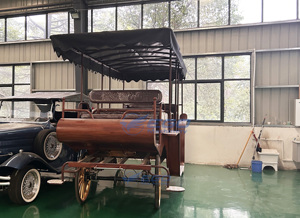Carrosses de Mariage Électriques Spéciaux pour Visites Touristiques, Prix Usine, Transport de Luxe, à Vendre - Product Image 4