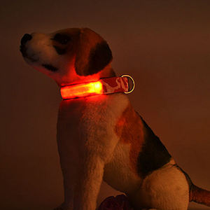 Collar para perro recargable por USB, luminoso, brillante, nailon, electrónico, reflectante, LED, seguridad nocturna - Product Image 4