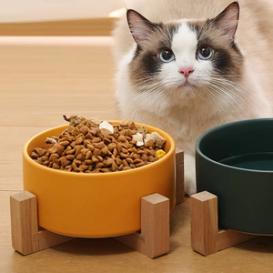 Tazón de cerámica mate para mascotas de pie alto, sin barbilla negra, fácil <span class=keywords><strong>Clen</strong></span>, cuenco de cerámica antichoque para mascotas, protege la columna Cervical, cuenco de comida para perros - Product Image 1