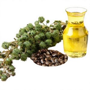 Aceite de Semilla de Ricino Negro de Grado Cosmético al por Mayor, 100% Puro, Prensado en Frío, Aceite Esencial Puro de 100 ml para Cabello y Piel - Product Image 3