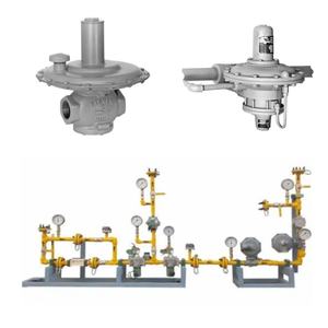 Ensemble de régulateur de tension à action directe et manomètre pour station de commutation de vannes Emerson Fisher Série 66 - Product Image 3