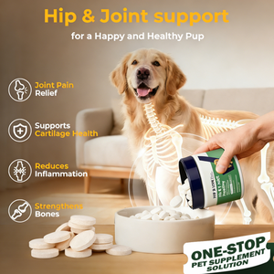Perawatan & Suplemen Kesehatan Hewan Peliharaan Label Pribadi Meningkatkan Mobilitas Anjing Tablet Kesehatan Pinggul & Sendi Hewan Peliharaan dengan Glukosamin - Product Image 2