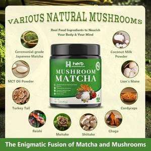 OEM /ODM Organic <b>Mushroom</b> Matcha <b>Coffee</b> Instant Powder Lion's Mane & Chaga Blend for Memory Sleep Support Adult - Product Image 4