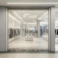 Porte de garage transparente en polycarbonate, à vision complète, électrique, sur mesure pour centre commercial, extérieur, maison résidentielle